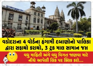 વડોદરાના 4 વોર્ડના હંગામી દબાણોનો પાલિકા દ્વારા સફાયો કરાયો, 3 ટ્રક માલ સામાન જપ્ત
