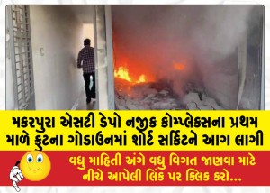 મકરપુરા એસટી ડેપો નજીક કોમ્પ્લેક્સના પ્રથમ માળે ફ્રુટના ગોડાઉનમાં શોર્ટ સર્કિટને આગ લાગી