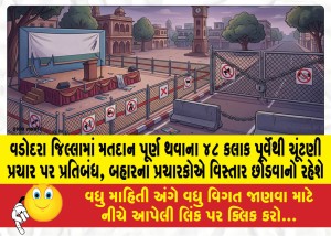 વડોદરા જિલ્લામાં મતદાન પૂર્ણ થવાના ૪૮ કલાક પૂર્વેથી ચૂંટણી પ્રચાર પર પ્રતિબંધ, બહારના પ્રચારકોએ વિસ્તાર છોડવાનો રહેશે