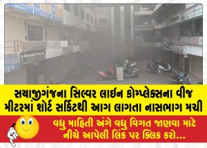 સયાજીગંજના સિલ્વર લાઇન કોમ્પ્લેક્સના વીજ મીટરમાં શોર્ટ સર્કિટથી આગ લાગતા નાસભાગ મચી
