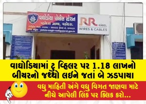 વાઘોડિયામાં ટુ વ્હિલર પર 1.18 લાખનો બીયરનો જથ્થો લઇને જતાં બે ઝડપાયા