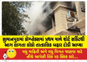 સુભાનપુરામાં કોમ્પ્લેક્સમાં પ્રથમ માળે શોર્ટ સર્કિટથી આગ લાગતા લોકો તાત્કાલિક બહાર દોડી આવ્યા