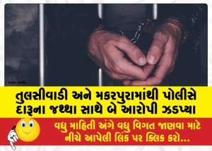 તુલસીવાડી અને મકરપુરામાંથી પોલીસે દારૂના જથ્થા સાથે બે આરોપી ઝડપ્યા