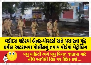 વડોદરા શહેરમાં બેનર-પોસ્ટર્સ અને પ્રચારના મુદ્દે ઘર્ષણ અટકાવવા પોલીસનું તમામ વોર્ડમાં પેટ્રોલિંગ