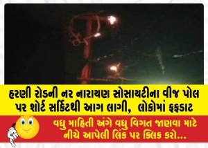 હરણી રોડની નર નારાયણ સોસાયટીના વીજ પોલ પર શોર્ટ સર્કિટથી આગ લાગી,  લોકોમાં ફફડાટ