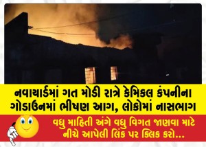 નવાયાર્ડમાં ગત મોડી રાત્રે કેમિકલ કંપનીના ગોડાઉનમાં ભીષણ આગ, લોકોમાં નાસભાગ