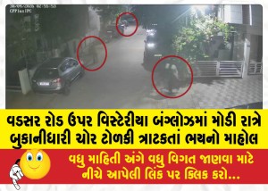 વડસર રોડ ઉપર વિસ્ટેરીયા બંગ્લોઝમાં મોડી રાત્રે બુકાનીધારી ચોર ટોળકી ત્રાટકતાં ભયનો માહોલ