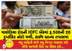 વાઘોડિયા રોડની HDFC બેંકમાં રૂ.500ની 20 ડુપ્લીકેટ નોટો મળી, ક્રાઈમ બ્રાન્ચ તપાસમાં