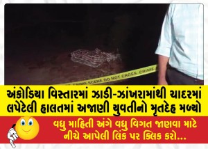 અંકોડિયા વિસ્તારમાં ઝાડી-ઝાંખરામાંથી ચાદરમાં લપેટેલી હાલતમાં અજાણી યુવતીનો મૃતદેહ મળ્યો