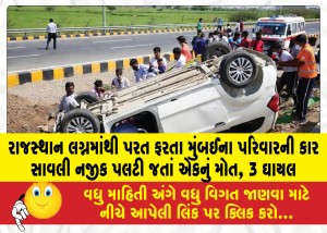 રાજસ્થાન લગ્નમાંથી પરત ફરતા મુંબઈના પરિવારની કાર સાવલી નજીક પલટી જતાં એકનું મોત, 3 ઘાયલ