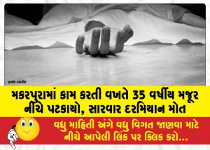 MailVadodara.com - 35-year-old-laborer-falls-down-while-working-in-Makarpura-dies-during-treatment
