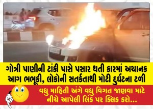 MailVadodara.com - A-car-passing-near-the-Gotri-water-tank-suddenly-caught-fire-a-major-tragedy-was-averted-due-to-the-vigilance-of-the-people