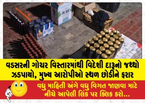 MailVadodara.com - SMC-team-raids-open-sale-of-foreign-liquor-in-Vadsar