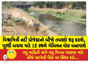 વિશ્વામિત્રી નદી પ્રોજેક્ટનો બીજો તબક્કો શરૂ કરાશે, પૂરથી બચવા માટે 12 સ્થળે ગેબિયન વોલ બનાવાશે