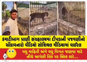 કમાટીબાગ પ્રાણી સંગ્રહાલયમાં દીપડાની પજવણીનો ચોંકાવનારો વીડિયો સોશિયલ મીડિયામાં વાઈરલ