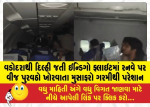 વડોદરાથી દિલ્હી જતી ઇન્ડિગો ફ્લાઇટમાં રનવે પર  વીજ પુરવઠો ખોરવાતા મુસાફરો ગરમીથી પરેશાન