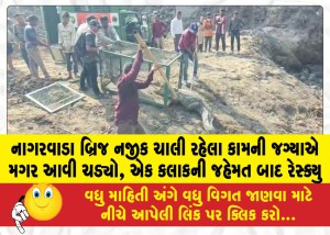 MailVadodara.com - Crocodile-entered-the-work-site-near-Nagarwada-Bridge-rescued-after-an-hour-of-struggle