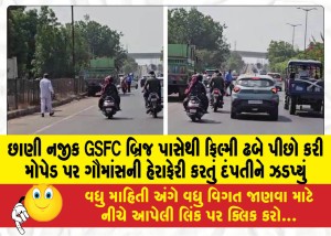 છાણી નજીક GSFC બ્રિજ પાસેથી ફિલ્મી ઢબે પીછો કરી મોપેડ પર ગૌમાંસની હેરાફેરી કરતું દંપતીને ઝડપ્યું