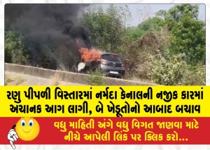 રણુ પીપળી વિસ્તારમાં નર્મદા કેનાલની નજીક કારમાં અચાનક આગ લાગી, બે ખેડૂતોનો આબાદ બચાવ