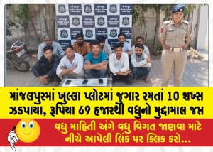 માંજલપુરમાં ખુલ્લા પ્લોટમાં જુગાર રમતાં 10 શખ્સ ઝડપાયા, રૂપિયા 69 હજારથી વધુનો મુદ્દામાલ જપ્ત