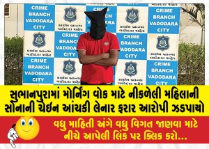 સુભાનપુરામાં મોર્નિંગ વોક માટે નીકળેલી મહિલાની સોનાની ચેઇન આંચકી લેનાર ફરાર આરોપી ઝડપાયો