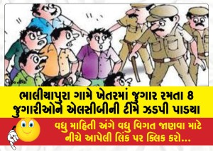 ભાલીયાપુરા ગામે ખેતરમાં જુગાર રમતા 8 જુગારીઓને એલસીબીની ટીમે ઝડપી પાડયા