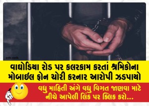 MailVadodara.com - Accused-arrested-for-stealing-mobile-phones-of-workers-doing-painting-work-on-Waghodia-Road