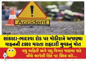 MailVadodara.com - A-young-pedestrian-died-after-being-hit-by-an-unknown-vehicle-on-the-Sankarda-Bhadarwa-road-late-at-night