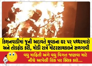 MailVadodara.com - Old-enmity-in-Kishanwadi-pelted-stones-at-and-vandalized-a-young-mans-house-set-his-motorcycle-on-fire-late-at-night
