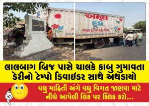 MailVadodara.com - The-driver-lost-control-near-Lalbagh-Bridge-and-the-tempo-of-the-dairy-crashed-into-the-divider