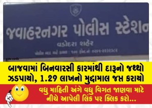 MailVadodara.com - Liquor-seized-from-an-unlicensed-car-in-Bajwa-cash-worth-Rs-1-29-lakh-seized