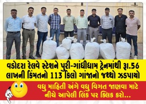 વડોદરા રેલવે સ્ટેશને પુરી-ગાંધીધામ ટ્રેનમાંથી રૂા.56 લાખની કિંમતનો 113 કિલો ગાંજાનો જથ્થો ઝડપાયો
