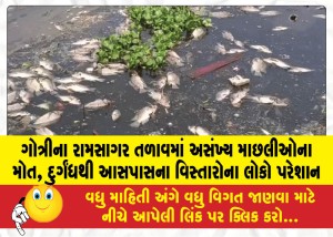 ગોત્રીના રામસાગર તળાવમાં અસંખ્ય માછલીઓના મોત, દુર્ગંધથી આસપાસના વિસ્તારોના લોકો પરેશાન