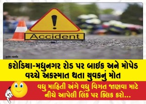 કરોડિયા-મધુનગર રોડ પર બાઇક અને મોપેડ વચ્ચે અકસ્માત થતા યુવકનું મોત