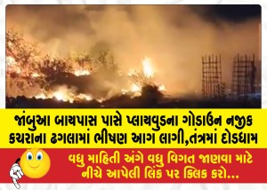 MailVadodara.com - A-massive-fire-broke-out-in-a-garbage-dump-near-a-plywood-godown-near-Jambua-Bypass-causing-a-stir-in-the-system