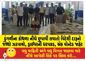 MailVadodara.com - A-quantity-of-foreign-liquor-hidden-under-a-sack-of-onions-was-seized-the-driver-was-arrested-a-wanted-person-was-declared