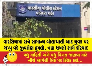 MailVadodara.com - A-young-man-was-fatally-attacked-with-a-paddle-after-a-minor-altercation-at-night-in-Warsia