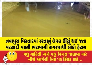 MailVadodara.com - People-are-worried-about-the-problem-of-rainwater-filling-up-the-road-level-in-Navapura-area-as-it-rises