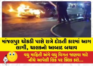MailVadodara.com - A-car-running-at-night-near-Manjalpur-intersection-caught-fire-the-driver-escaped-unhurt
