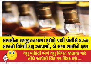 MailVadodara.com - Police-raid-Ranjitnagar-Savli-seizes-foreign-liquor-worth-Rs-2-56-lakh-two-brothers-absconding
