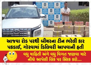 MailVadodara.com - Police-seized-two-vehicles-loaded-with-liquor-from-Atladara-and-Ajwa-roads