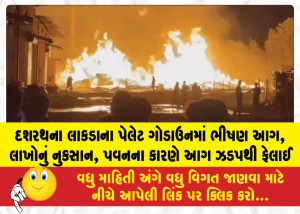 MailVadodara.com - Massive-fire-breaks-out-in-Dashraths-wooden-pallet-godown-loss-of-lakhs-fire-spread-quickly-due-to-wind