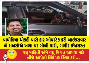 MailVadodara.com - Two-men-on-a-bike-shot-in-the-shoulder-after-overtaking-a-car-near-Waghodia-intersection-seriously-injured