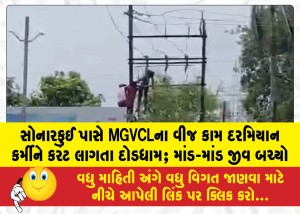 સોનારકુઈ પાસે MGVCLના વીજ કામ દરમિયાન કર્મીને કરંટ લાગતા દોડધામ; માંડ-માંડ જીવ બચ્યો