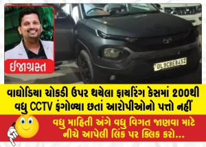 વાઘોડિયા ચોકડી ઉપર થયેલા ફાયરિંગ કેસમાં 200થી વધુ CCTV ફંગોળ્યા છતાં આરોપીઓનો પત્તો નહીં