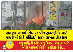 MailVadodara.com - A-fire-broke-out-due-to-a-short-circuit-in-the-wires-near-an-electricity-transformer-on-Vasna-Bhayali-road