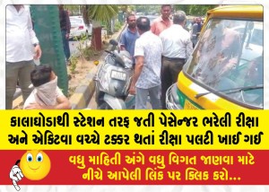 MailVadodara.com - A-collision-between-a-passenger-laden-rickshaw-and-an-Activa-resulted-in-the-rickshaw-overturning