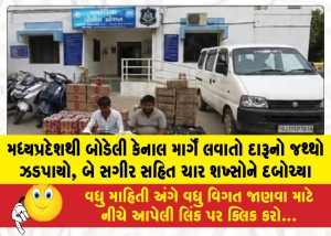 MailVadodara.com - A-quantity-of-liquor-being-brought-from-Madhya-Pradesh-through-Bodeli-Canal-was-seized