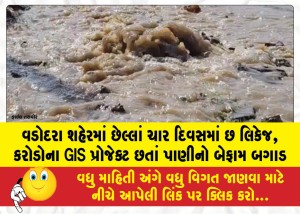 MailVadodara.com - Six-leakages-in-Vadodara-city-in-the-last-four-days-reckless-wastage-of-water-despite-GIS-project-worth-crores