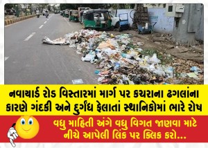 MailVadodara.com - Locals-are-furious-over-the-filth-and-foul-odor-caused-by-piles-of-garbage-on-the-road-in-the-Navayard-Road-area
